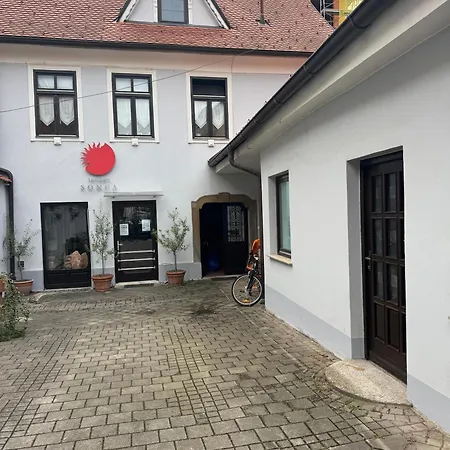 My Star * 马里博尔